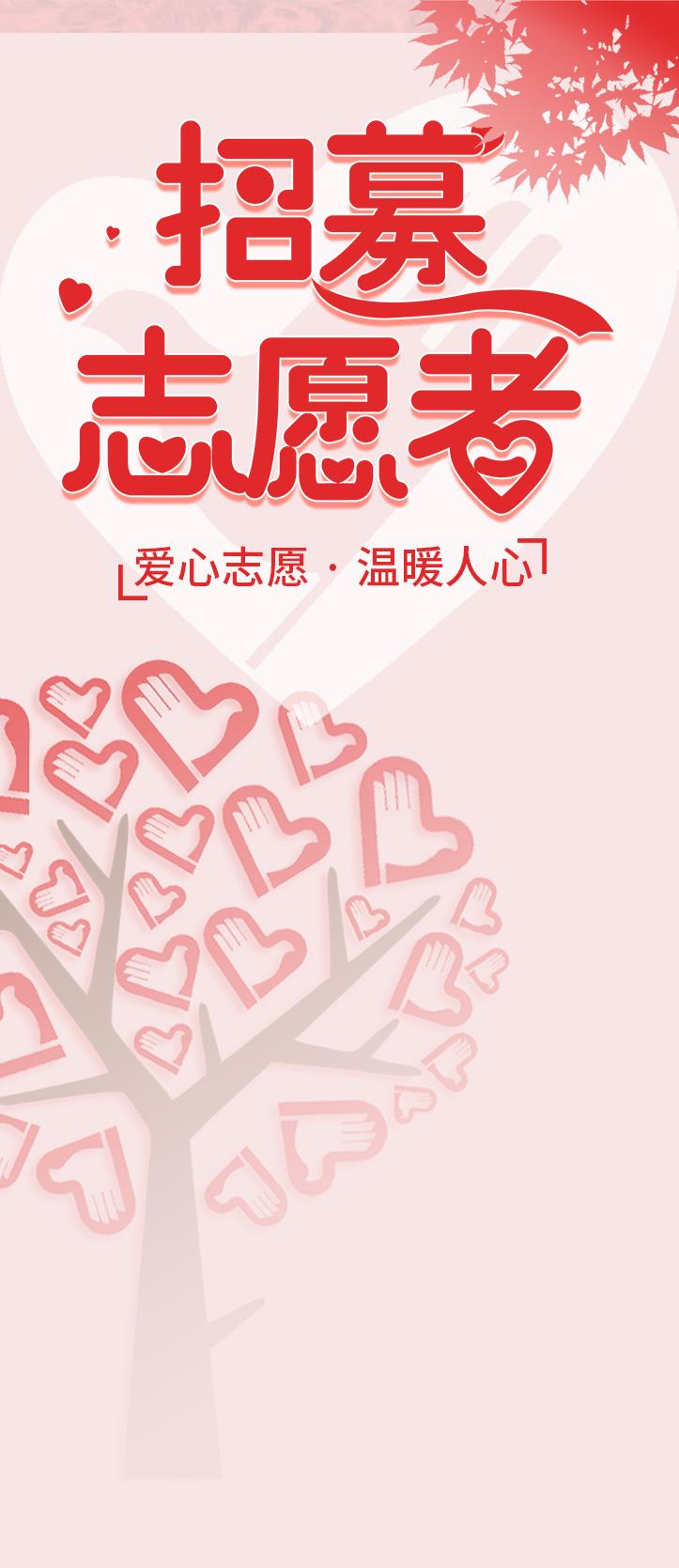球队公开招募球迷志愿者服务队的简单介绍