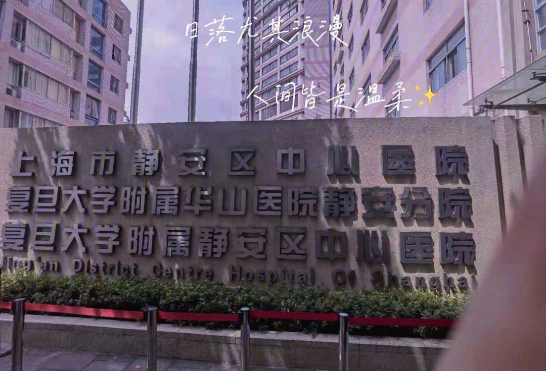 雄鹿豪取胜利，上海征程继续胜势强悍(雄鹿又赢了)